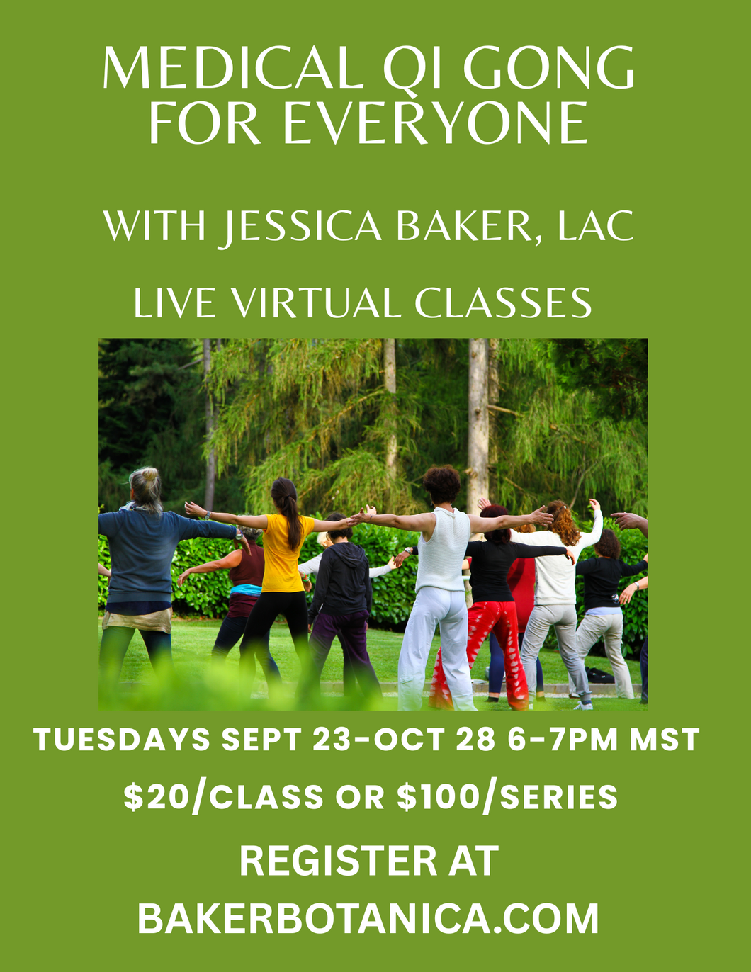 Live Virtual Medical Qi Gong Class